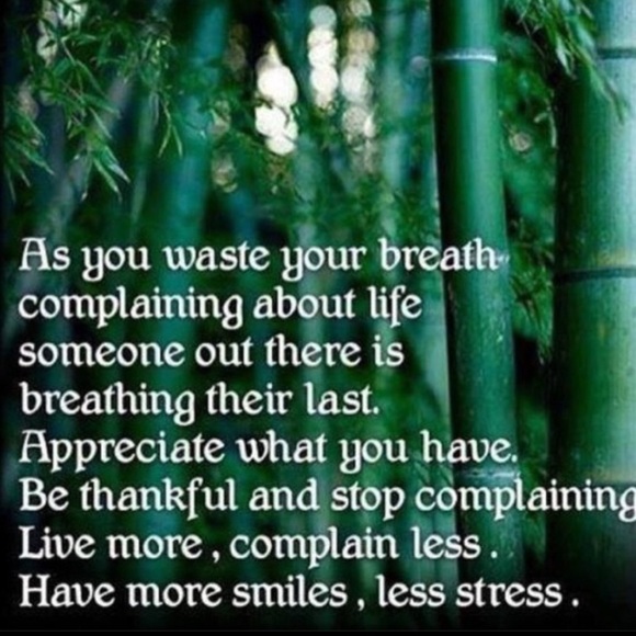 👗Willi Smith Vintage Linen DRESS 👗  Nordstroms VNPLC SZ 8 Embroidered - Picture 12 of 16